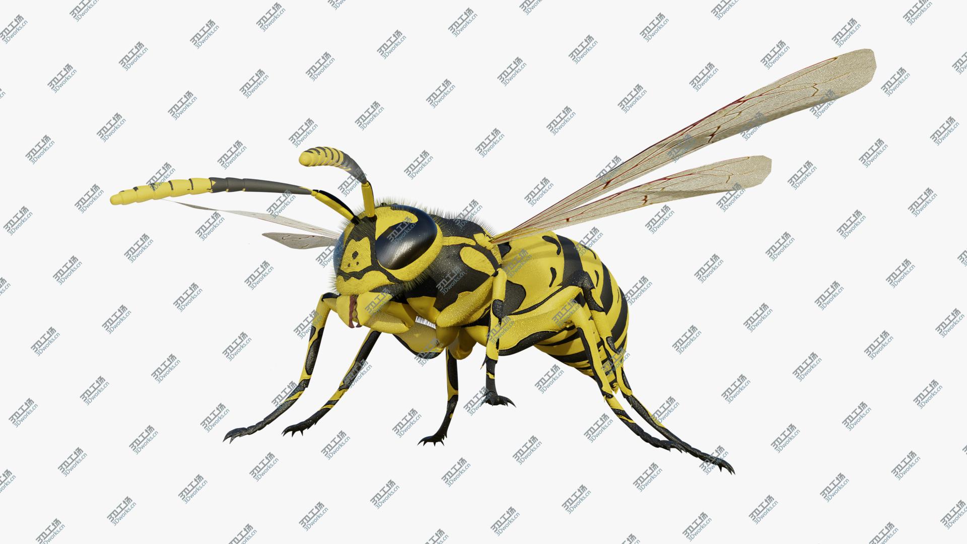 images/goods_img/2021040232/Wasp 3D/1.jpg
